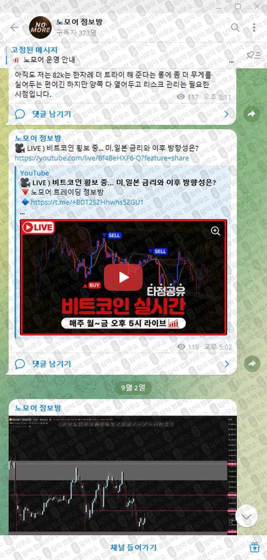 이 사진은 담덕법률사무소에서 캡쳐해둔 노모어(VIP) 웹사이트 캡쳐 사진이며 URL은 damdeoc.com 입니다.