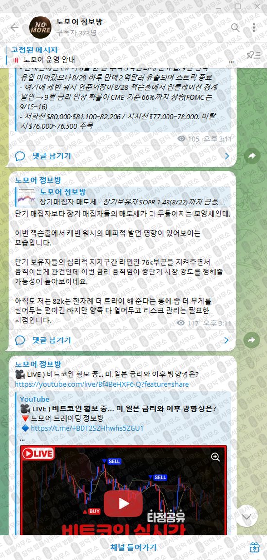 이 사진은 담덕법률사무소에서 캡쳐해둔 노모어(VIP) 웹사이트 캡쳐 사진이며 URL은 damdeoc.com 입니다.