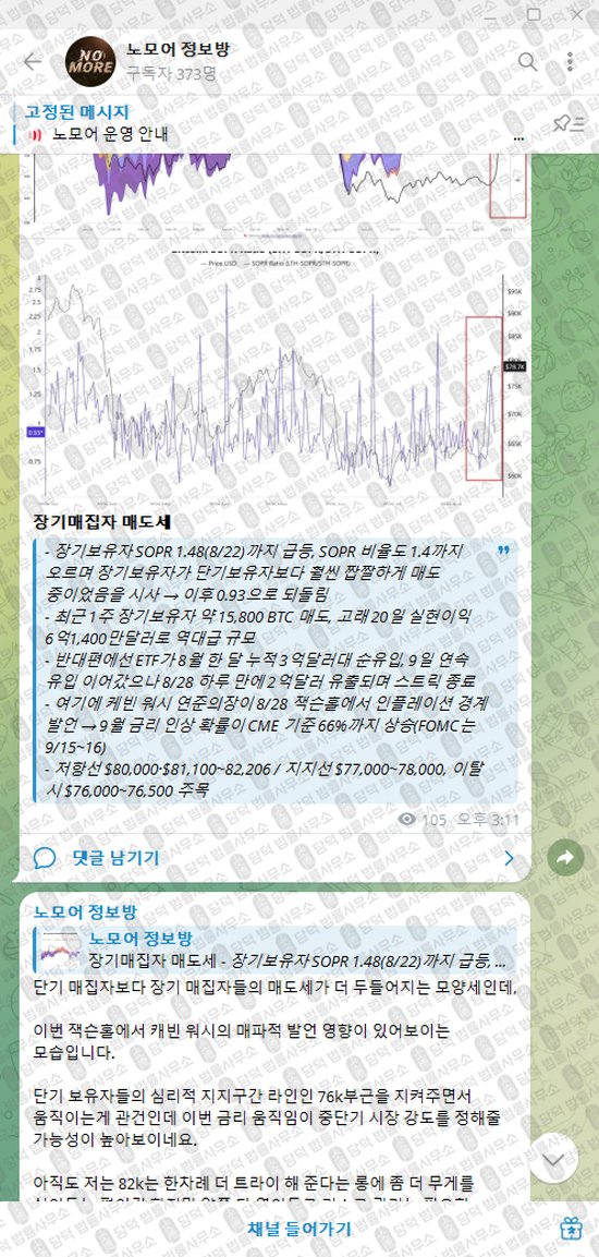이 사진은 담덕법률사무소에서 캡쳐해둔 노모어(VIP) 웹사이트 캡쳐 사진이며 URL은 damdeoc.com 입니다.
