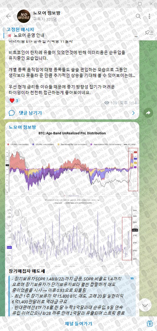 이 사진은 담덕법률사무소에서 캡쳐해둔 노모어(VIP) 웹사이트 캡쳐 사진이며 URL은 damdeoc.com 입니다.