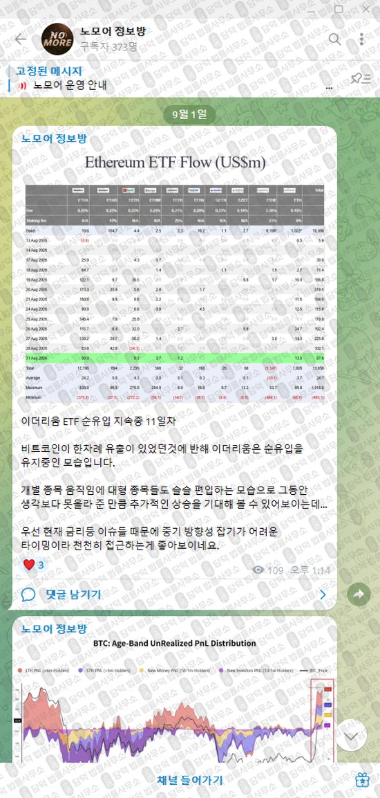 이 사진은 담덕법률사무소에서 캡쳐해둔 노모어(VIP) 웹사이트 캡쳐 사진이며 URL은 damdeoc.com 입니다.