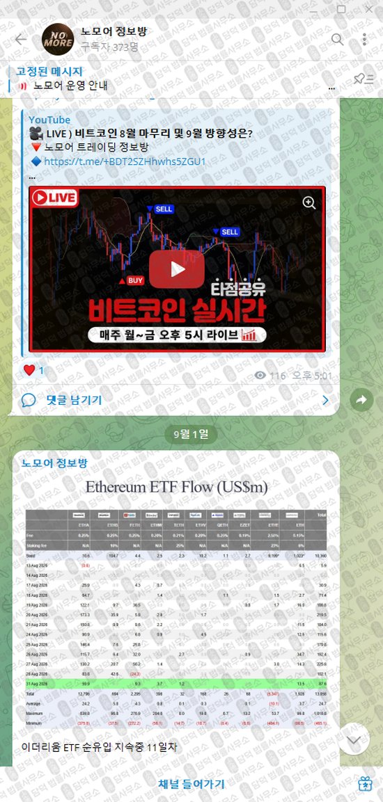 이 사진은 담덕법률사무소에서 캡쳐해둔 노모어(VIP) 웹사이트 캡쳐 사진이며 URL은 damdeoc.com 입니다.