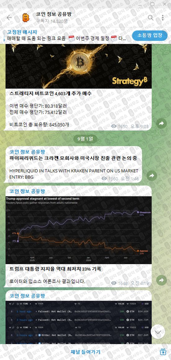 이 사진은 담덕법률사무소에서 캡쳐해둔 텔레그램(VIP) 웹사이트 캡쳐 사진이며 URL은 damdeoc.com 입니다.
