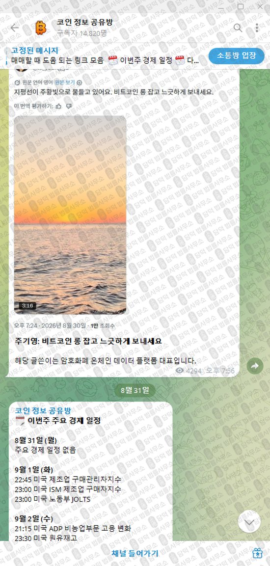 이 사진은 담덕법률사무소에서 캡쳐해둔 텔레그램(VIP) 웹사이트 캡쳐 사진이며 URL은 damdeoc.com 입니다.