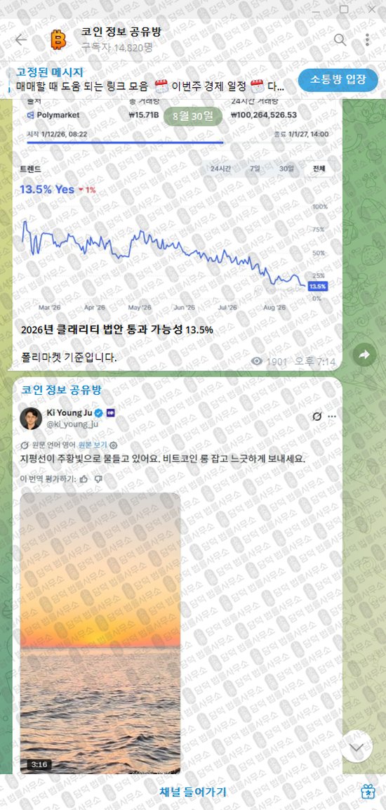 이 사진은 담덕법률사무소에서 캡쳐해둔 텔레그램(VIP) 웹사이트 캡쳐 사진이며 URL은 damdeoc.com 입니다.