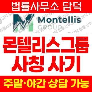 몬텔리스그룹(Montellis Group) 사기 피해 정보 · 담덕법률사무소