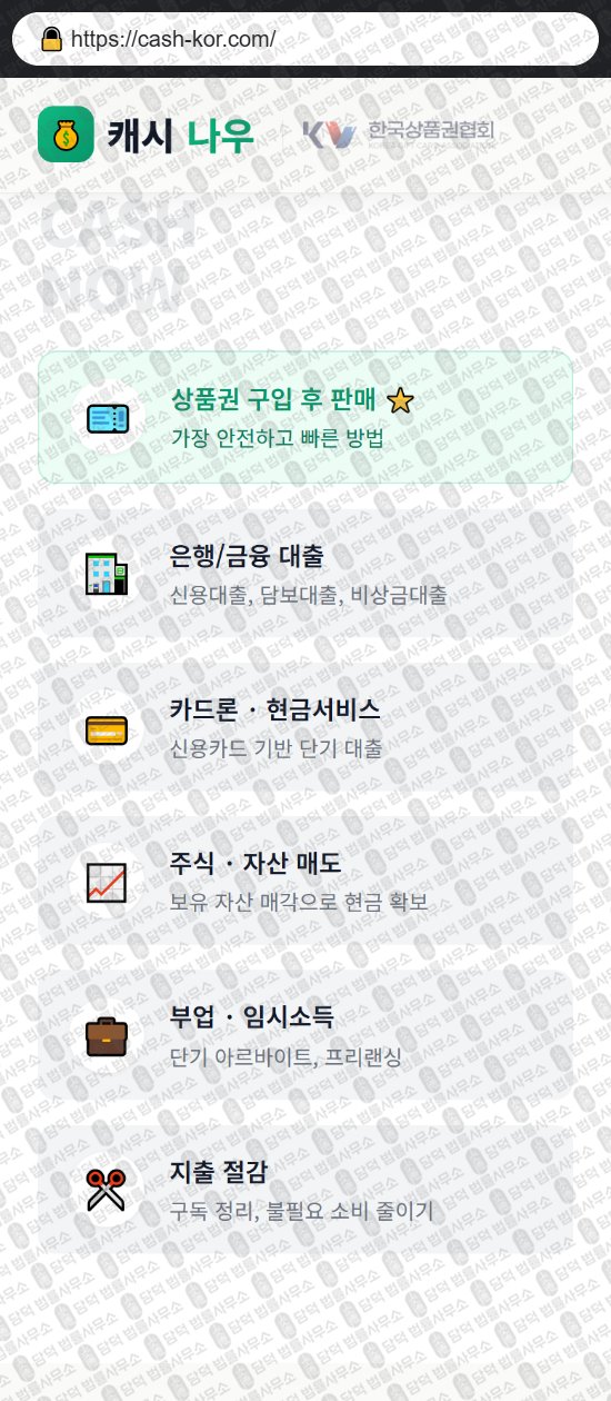 이 사진은 담덕법률사무소에서 캡쳐해둔 캐시(PIN) 웹사이트 캡쳐 사진이며 URL은 cash-kor.com 입니다.