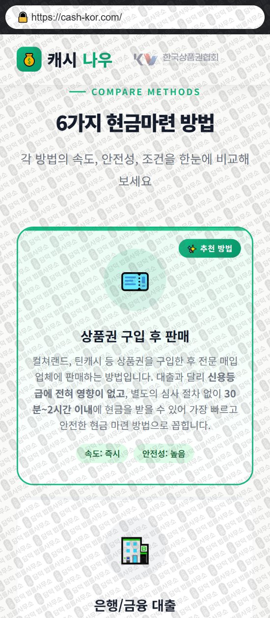이 사진은 담덕법률사무소에서 캡쳐해둔 캐시(PIN) 웹사이트 캡쳐 사진이며 URL은 cash-kor.com 입니다.