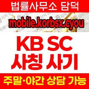 조회(KB SC) 사기 피해 정보 · 담덕법률사무소