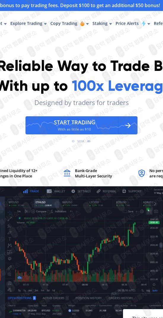 이 사진은 담덕법률사무소에서 캡쳐해둔 사칭(MARGEX) 웹사이트 캡쳐 사진이며 URL은 margex.com 입니다.