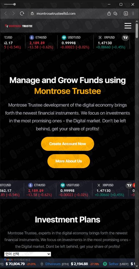 이 사진은 담덕법률사무소에서 캡쳐해둔 몬트로즈트러스티(MontroseTrustee) 웹사이트 캡쳐 사진이며 URL은 montrosetrusteeltd.com 입니다.