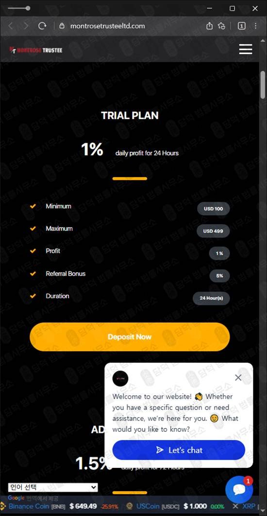 이 사진은 담덕법률사무소에서 캡쳐해둔 몬트로즈트러스티(MontroseTrustee) 웹사이트 캡쳐 사진이며 URL은 montrosetrusteeltd.com 입니다.