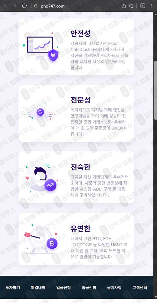이 사진은 담덕법률사무소에서 캡쳐해둔 더페이(THE PAY) 웹사이트 캡쳐 사진이며 URL은 pho747.com 입니다.