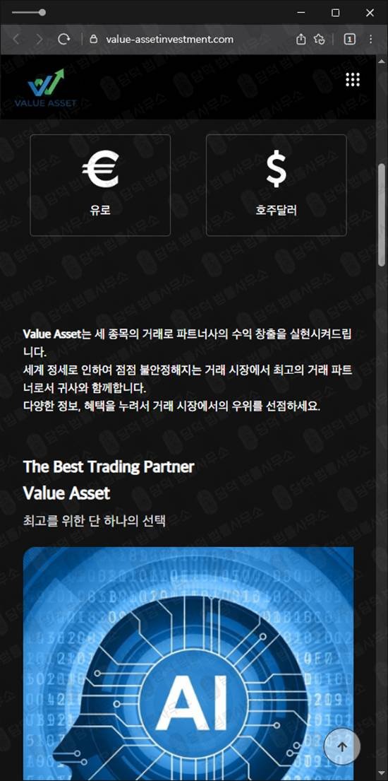 이 사진은 담덕법률사무소에서 캡쳐해둔 밸류에셋(Value Asset) 웹사이트 캡쳐 사진이며 URL은 value-assetinvestment.com 입니다.