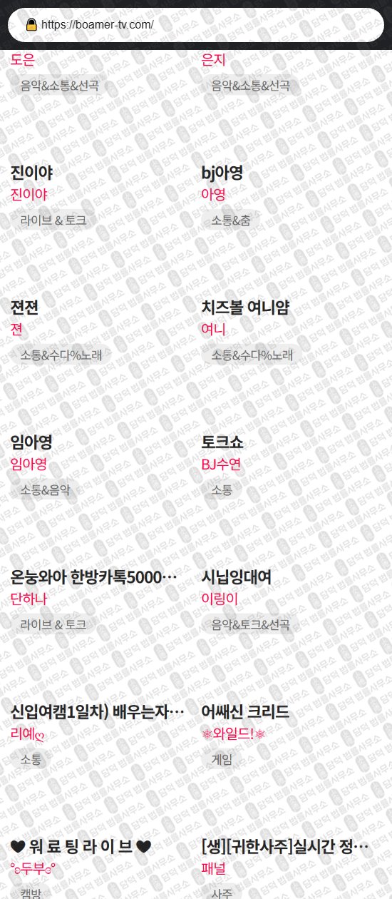이 사진은 담덕법률사무소에서 캡쳐해둔 바이빅스(TV) 웹사이트 캡쳐 사진이며 URL은 vibix.net 입니다.